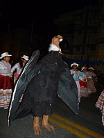 Cóndor andino en el corso