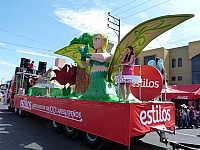 Tienda Estilos - carro alegórico