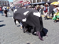 P1370777