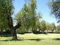 Paisaje en Sabandía