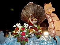 Fotos de carros alegóricos