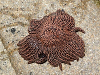 P1010324