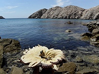 P1010326