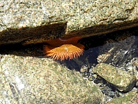 P1010330