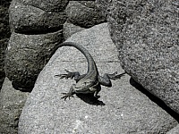 P1010337
