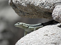 P1010339