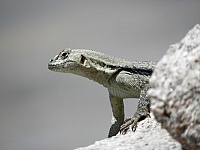 P1010341