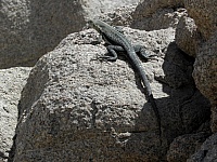P1010347