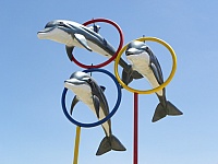 delfines