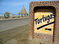 playa-tortugas-camana