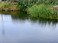 P1120424