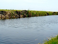 P1120428