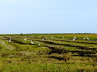 P1120433