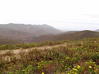 P4031179