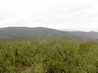 P4031194