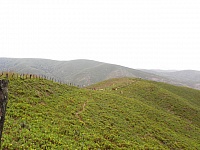 P4031199