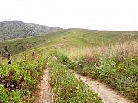 P4031203