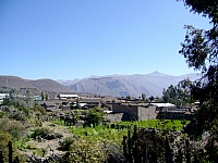 P1110308