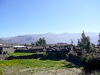 P1110310