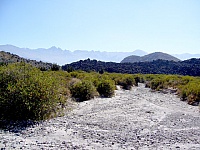 P1110320