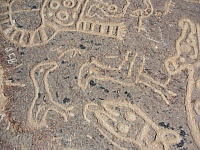 Grabados antiguos en piedra volcanica en Toro Muerto Arequipa