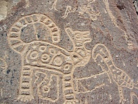 Toro Muerto Petroglyphs
