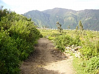 P1250807