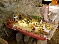 P1250980