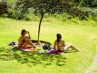 Turistas tomando baños de sol en Oasis Paraiso