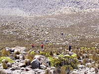 P1100329