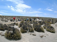 DSCN1558