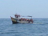 Paseos turísticos en lancha Mollendo Catarindo