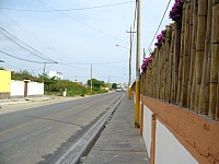 P1390134