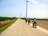 camino-al-pueblo-catas