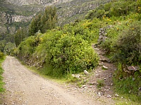 P1430378