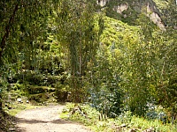 P1430394
