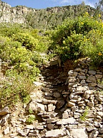 P1430177